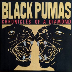 Black Pumas - Chronicles Of A Diamond