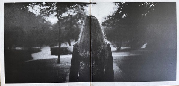 Lana Del Rey – Splendour In The Park - Image 3