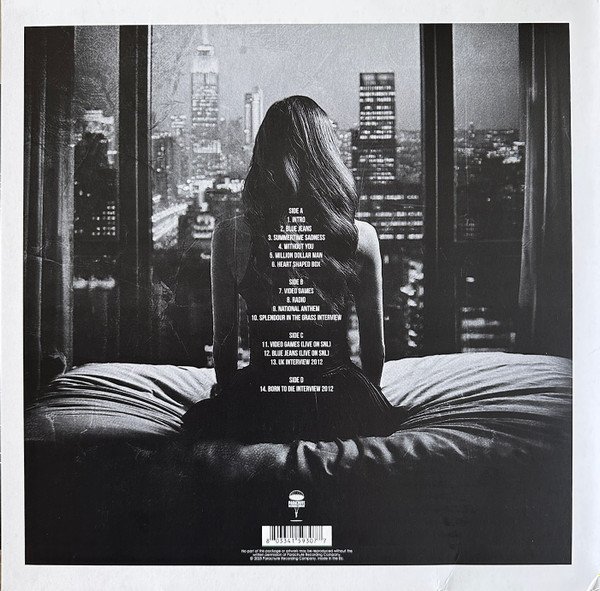 Lana Del Rey – Splendour In The Park - Image 2